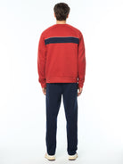 Tricolore Sweatshirt in Bossa Nova, view 5