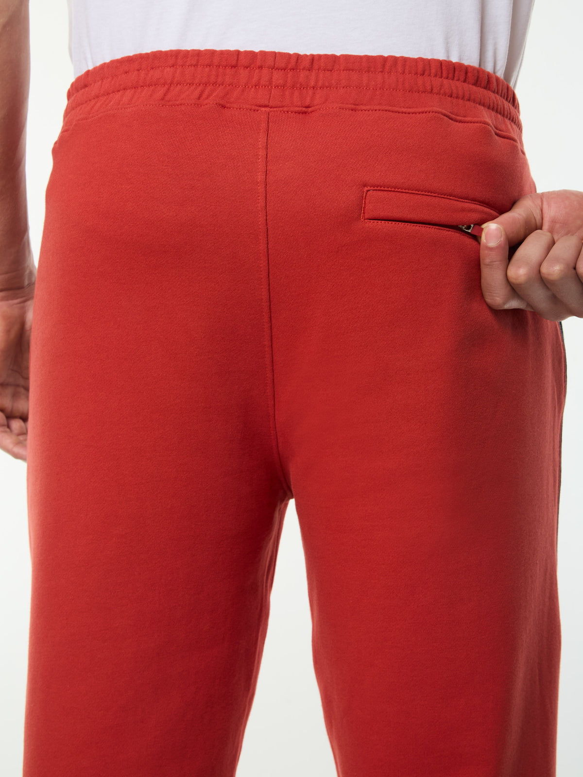Tricolore Sweatpant in Bossa Nova, view 6